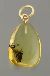 Authentic The Nocturnal Alchemist: Golden Moth Baltic Amber Talisman