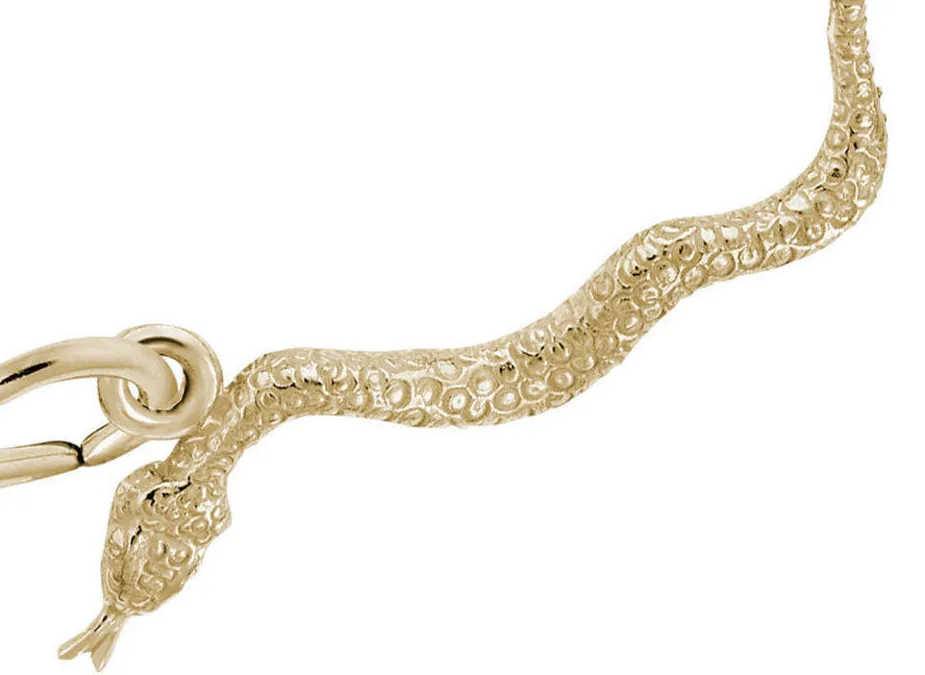 Authentic Slinky Serpent of Protection and Transformation