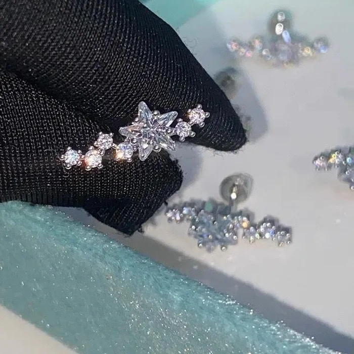 Authentic Elegant Snow Star Zircon Stud Earrings Silver Plated Jewelry For Celebrations And Outings