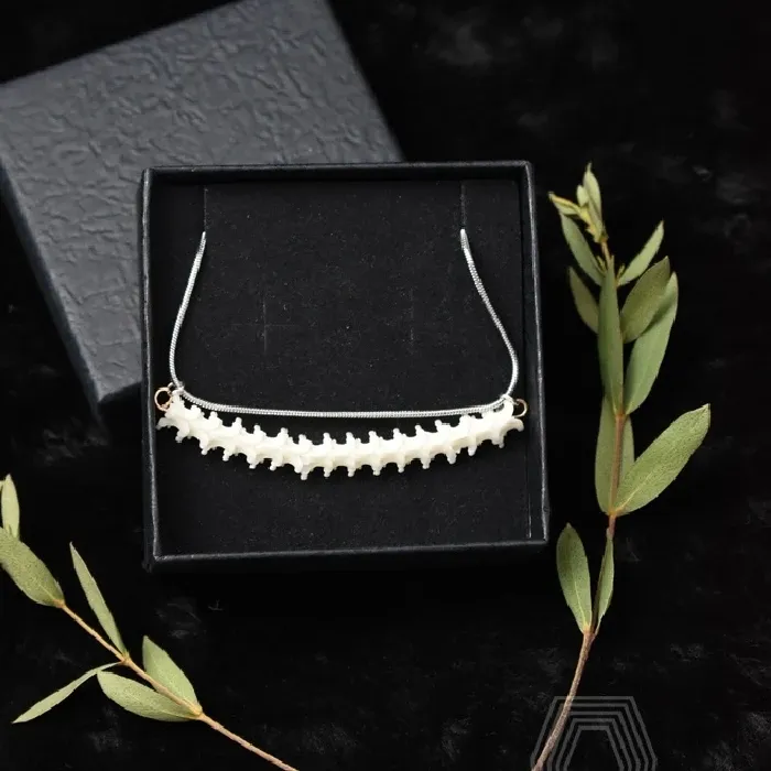 Authentic 2101 Handmade Bone Necklace & Earrings Eco- Friendly Artisan Jewelry Unique Gothic Natural Specimen Collectible Creative