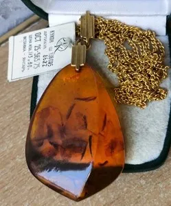 Authentic The Solar Radiance Amber Talisman: A Soviet Era Heirloom