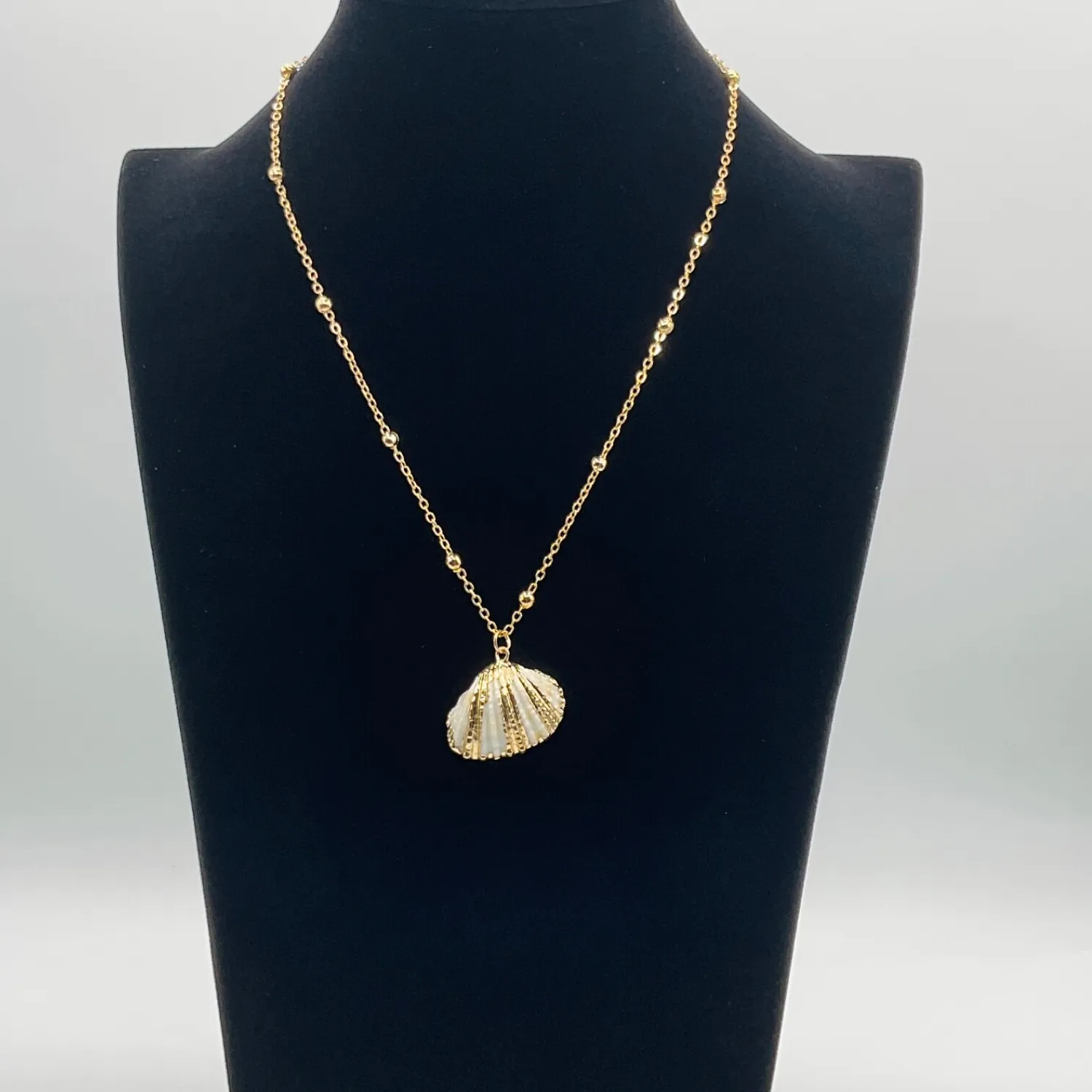Authentic The Golden Tide Scallop Talisman
