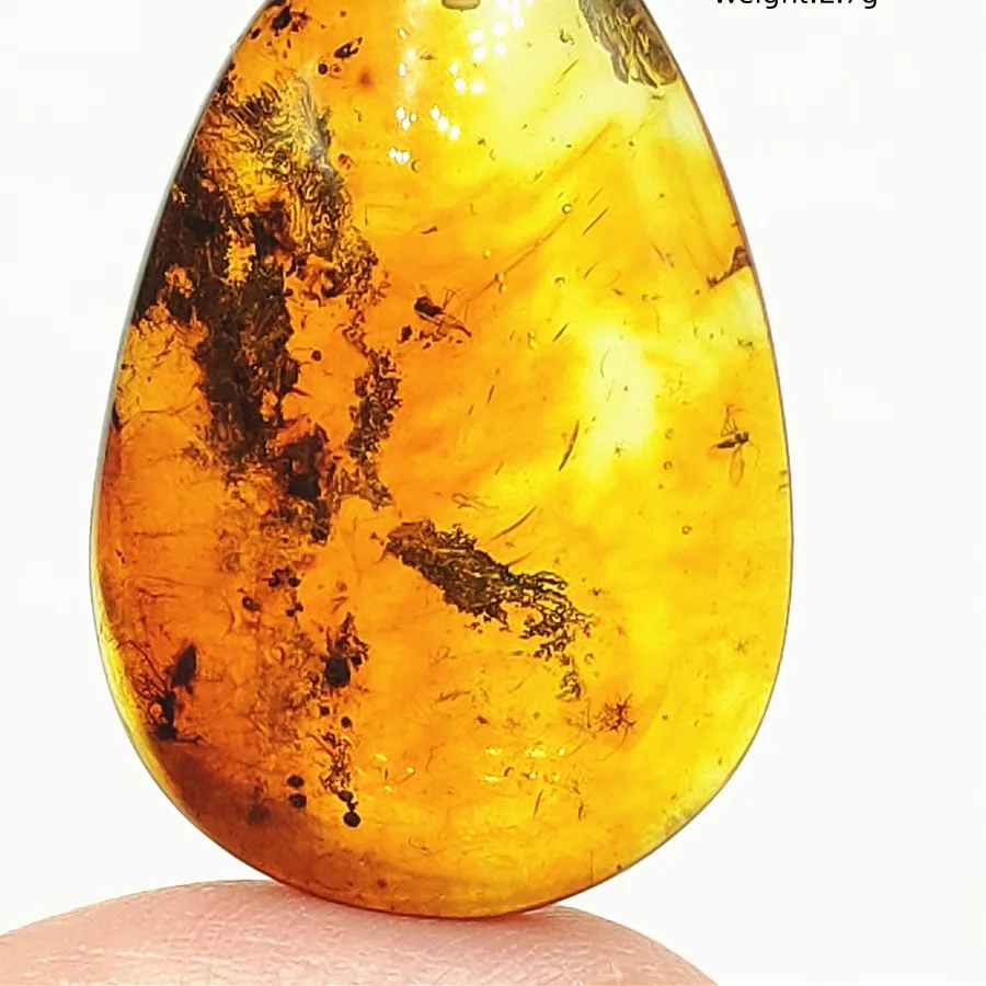 Authentic Natural Piebald Amber Pendant Yellow Amber 36x23x14mm Gemstone Pendant Necklace Jewelry AAAAA