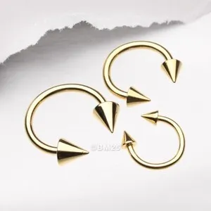 Authentic The Enchanted Horseshoe A Symbol Of Fortune And Protection