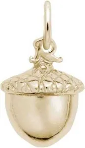 Authentic The Golden Acorn Of Infinite Potential Talisman