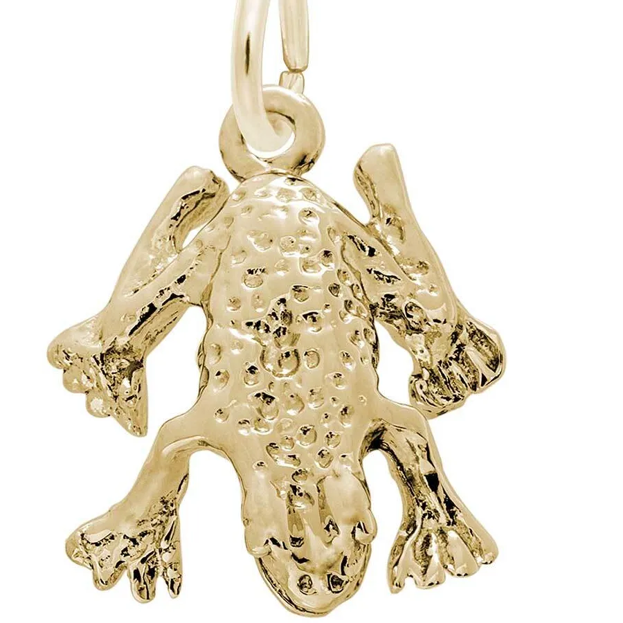 Authentic The Gilded Amphibian Of Transformation Gold- Plated Sterling Silver Talisman
