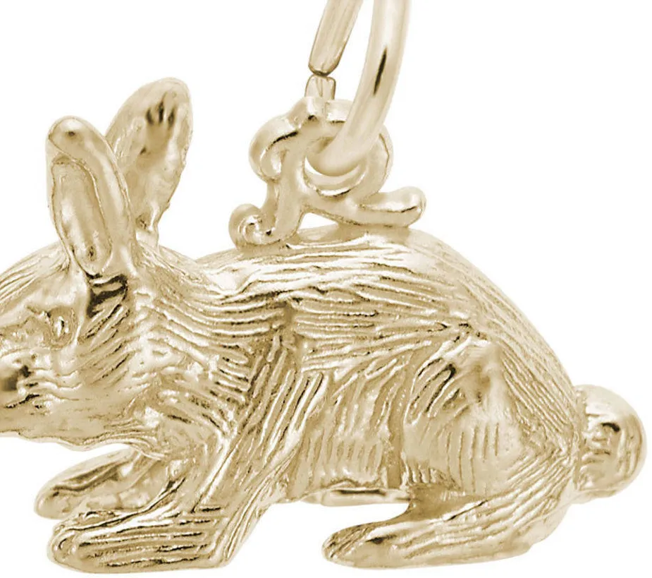 Authentic The Lunar Hare A Gold- Plated Sterling Silver Talisman Of Instinct And Grace