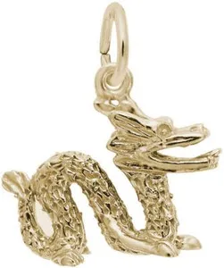 Authentic Celestial Serpent Dragon Golden Talisman
