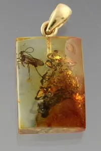 Authentic Big ICHNEUMON WASP Genuine BALTIC AMBER Gold Plated Silver Pendant 2.1g 251112-7