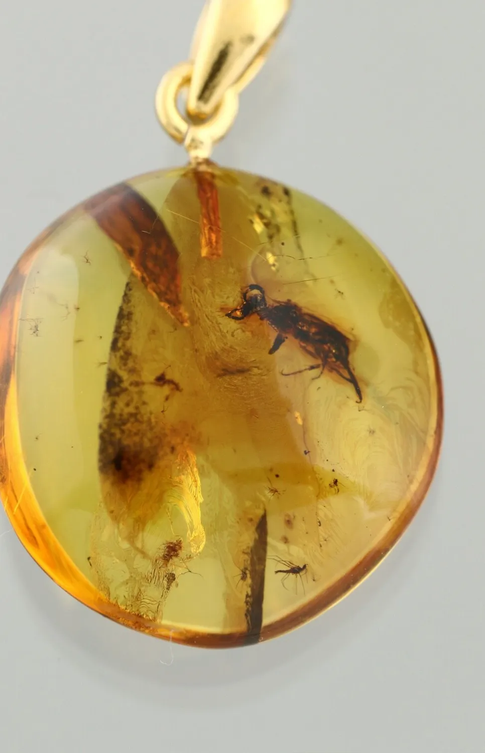 Authentic Fossil CUCKOO WASP Genuine BALTIC AMBER Gold Plated Silver Pendant 2.5g 50529-10