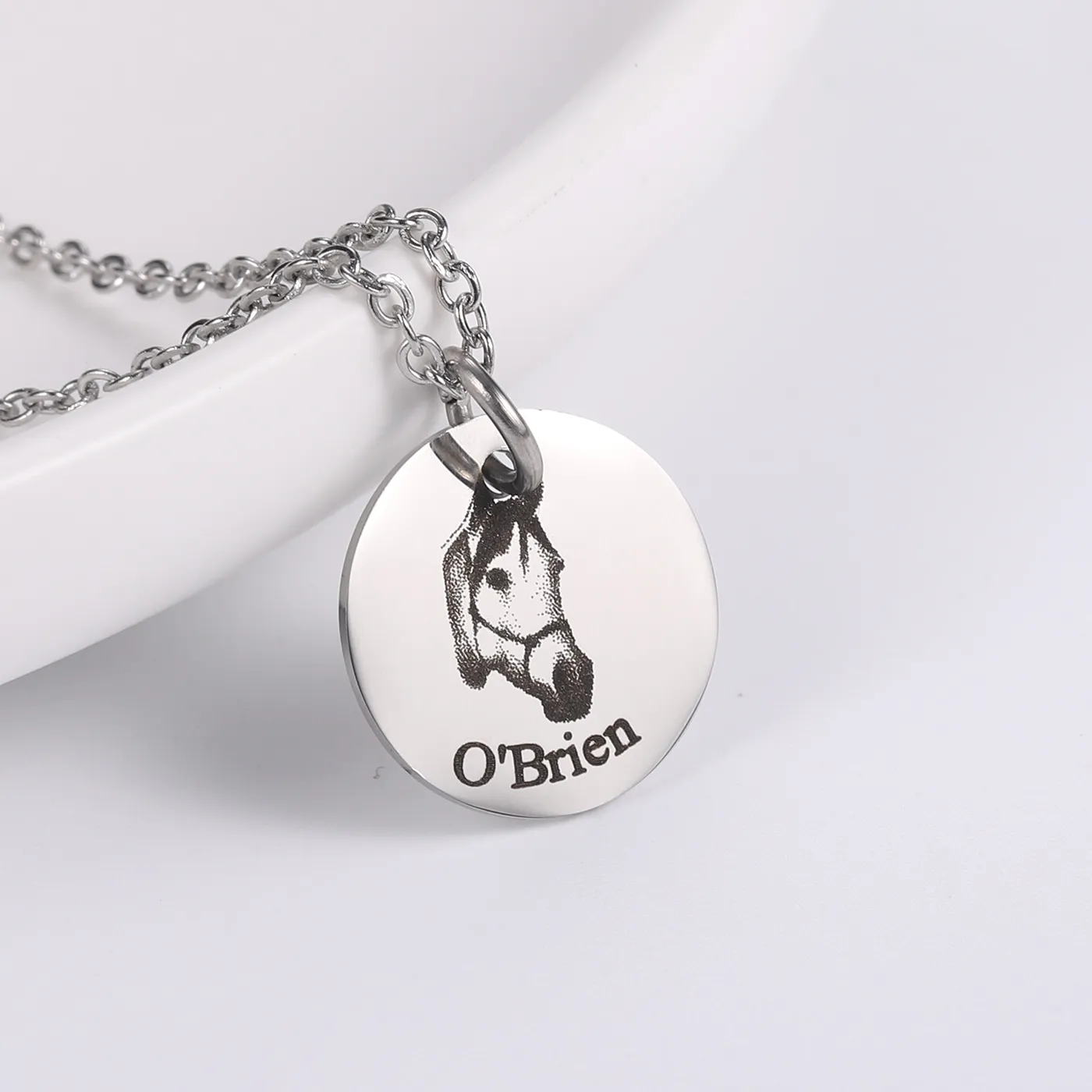 Authentic Personalized Pet Photo Disc Necklace Custom Tiny Cat Animal Name Pendant Necklaces 316L Jewelry For Mom
