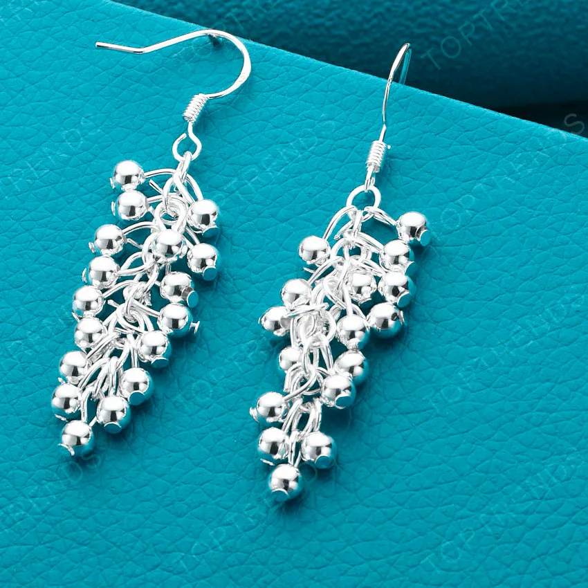 Authentic Cluster Of Abundance The Vine- Forged Silver Fertility Talisman Earrings