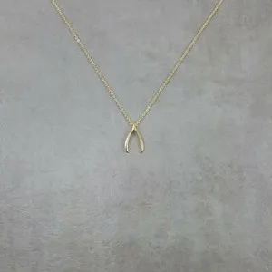 Authentic The Golden Wishbone Of Infinite Possibility Talisman