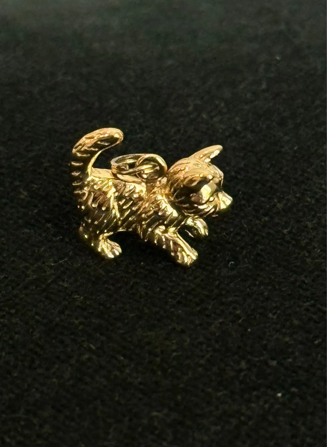 Authentic The Golden Feline Catalyst: 925 Sterling Silver Enchanted Cat Charm
