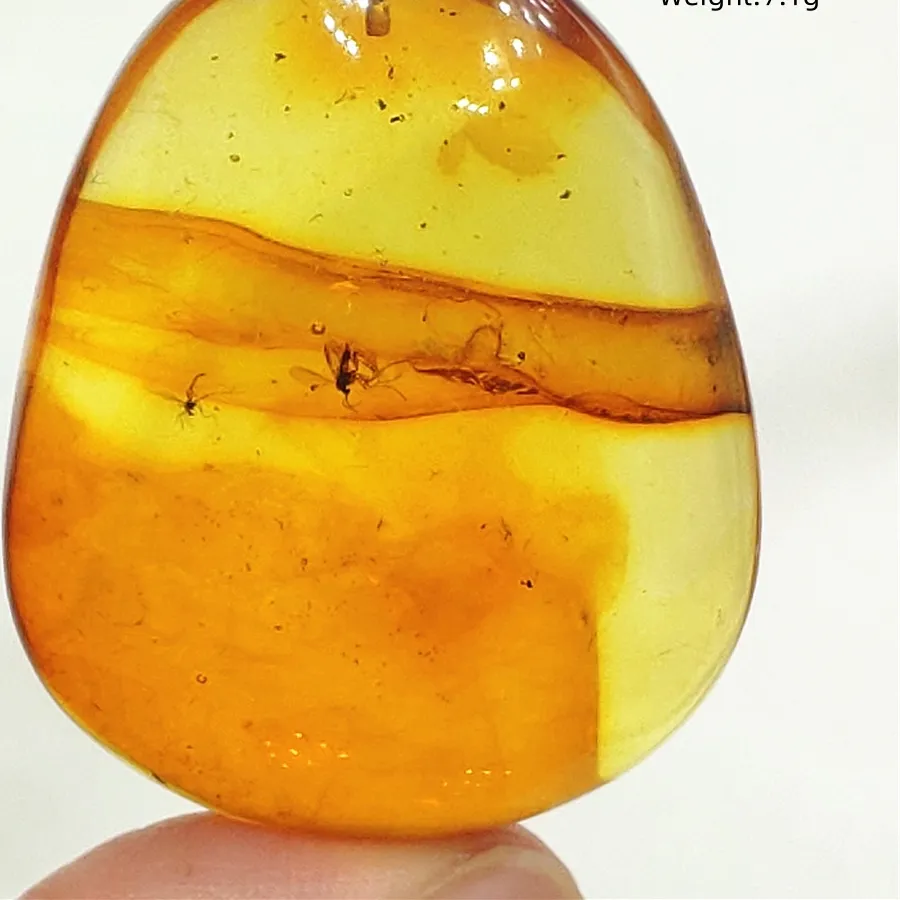Authentic The Golden Sunstone Of Creation And Fertile Abundance Amulet