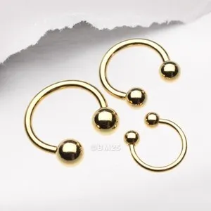 Authentic The Gilded Path: Celestial Horseshoe Talisman