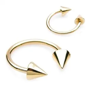 Authentic The Celestial Spiked Horseshoe: A Talisman of Defiant Protection