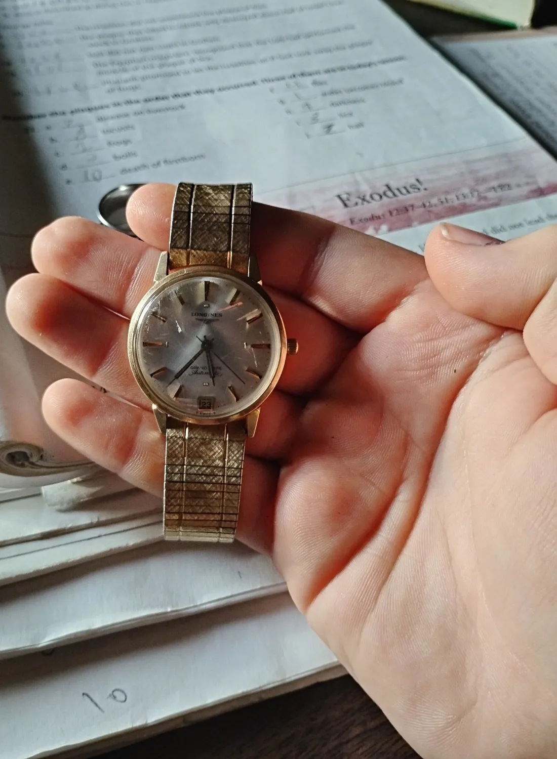 Authentic The Chronos Amulet of Gilded Moments