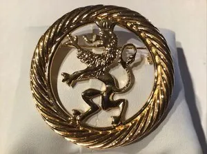 Authentic Vintage Rare MONET Jewelry Brooch 22k Gold Plated Textured Dragon Royal Crests