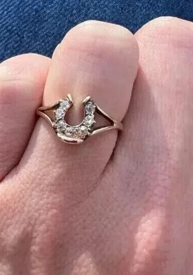 Authentic The Gilded Horseshoe: A Talisman of Celestial Fortune