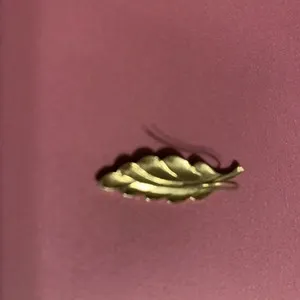 Authentic Celestial Feather‑Leaf Earring: A Golden Whisper of Protection