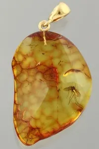Authentic The Entombed Sun: Ancient Baltic Amber and Gold-Plated Silver Pendant