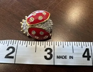 Authentic Lucky Ladybug of Abundance: A Golden Swan's Gift