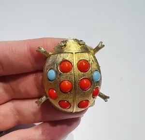Authentic Golden Ladybug Talisman – Mystic Cabochon Brooch