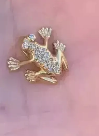 Authentic The Golden Amphibian Talisman of Transformation and Abundance