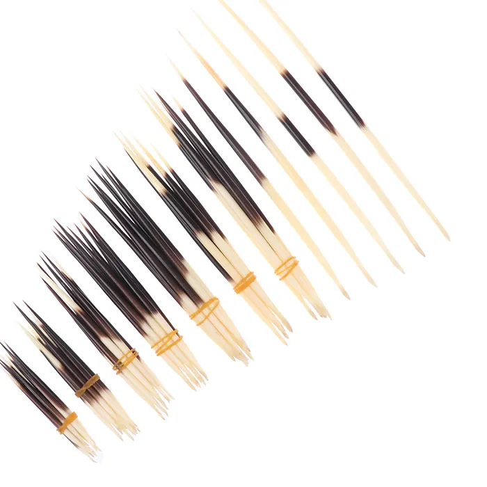 Authentic Hot Sale Porcupine Quills Hair Stick Fishing Buoy DIY Natural Bone Jewelry Hairpin Indian Crafts Accessories