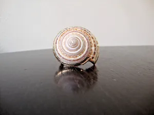 Authentic VTG HANDMADE NATURAL LACQUERED SEASHELL GOLD PLATED HINGED DRESS/SCARF CLIP