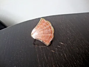 Authentic VTG HANDMADE NATURAL LACQUERED SEASHELL GOLD PLATED HINGED DRESS/SCARF CLIP
