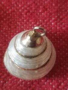 Authentic The Golden Tide Cowrie Shell Talisman