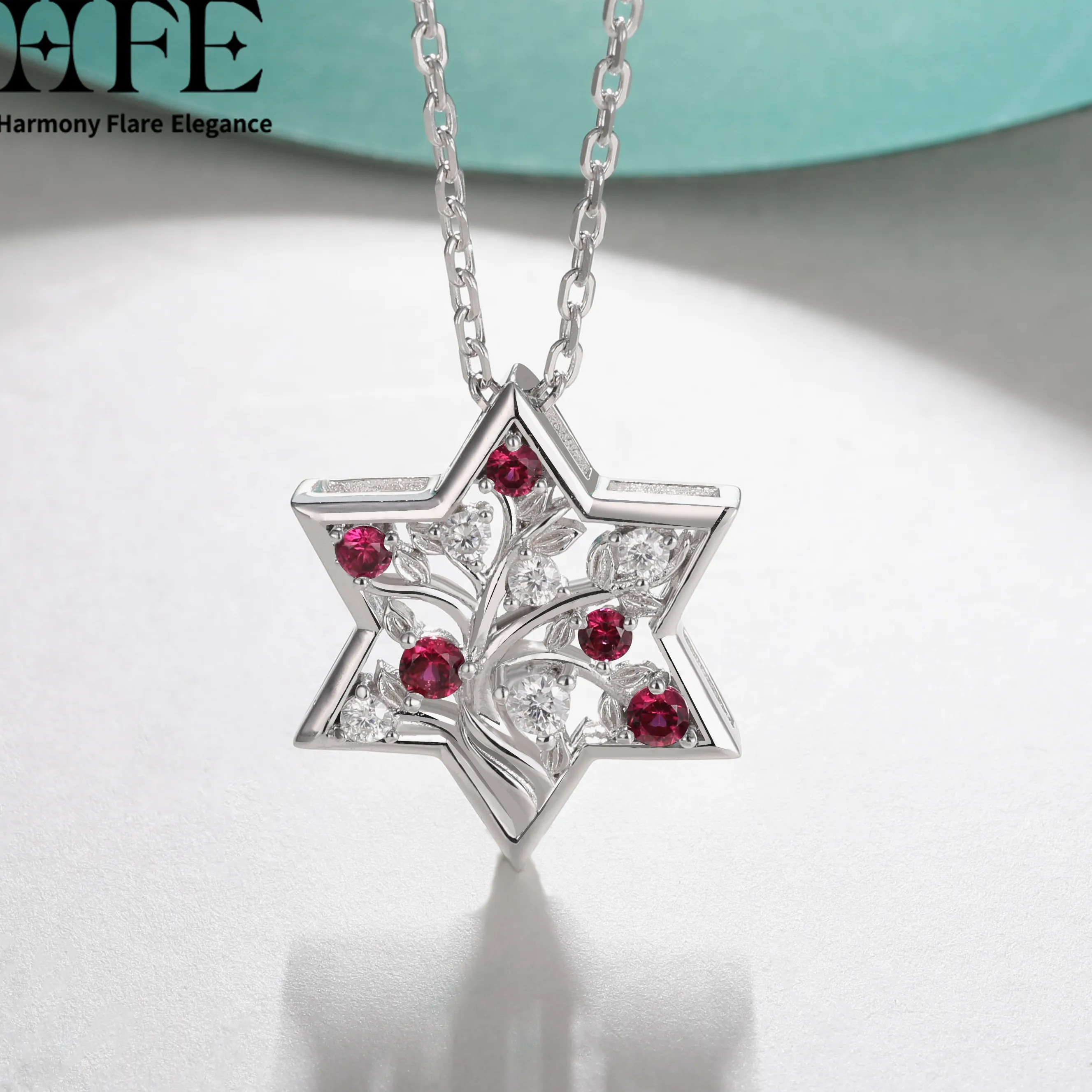 Authentic HFE Moissanite Jewish Star of David Pendant Necklace for Women Laboratory Emerald/Sapphire/Ruby 925 Pure Silver Israeli Necklace