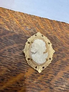 Authentic Vintage Shell Cameo Brooch Pendant Gold Plated Frame Carved Lady Portrait 1.5”