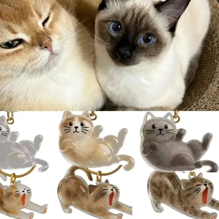 Authentic Transparent Pet Hair Keychain Custom Cat Memorial Locket for Cat Lovers Keepsake Fur Storage Bag Charms Jewely Accessory