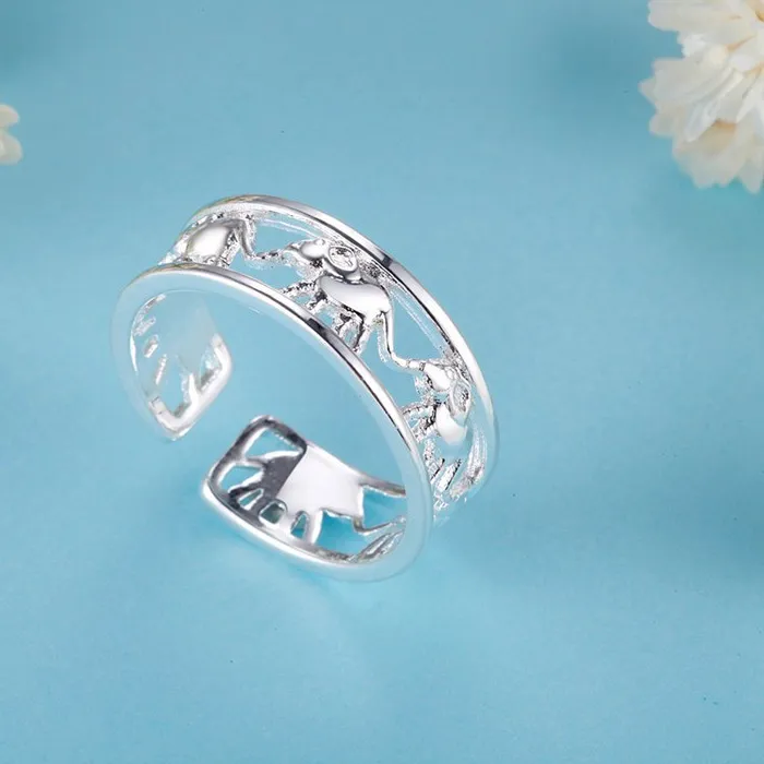 Authentic Amulet Of The Benevolent Elephant Adornment Of Auspicious Fortune