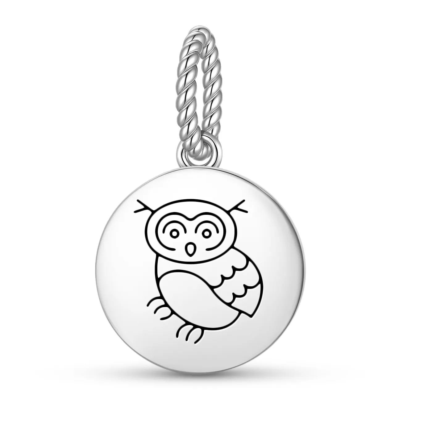 Authentic Feng shui The Owl Pendant 925 Sterling Silver Symbol Charm Bead for Women Bracelet Necklace Jewelry