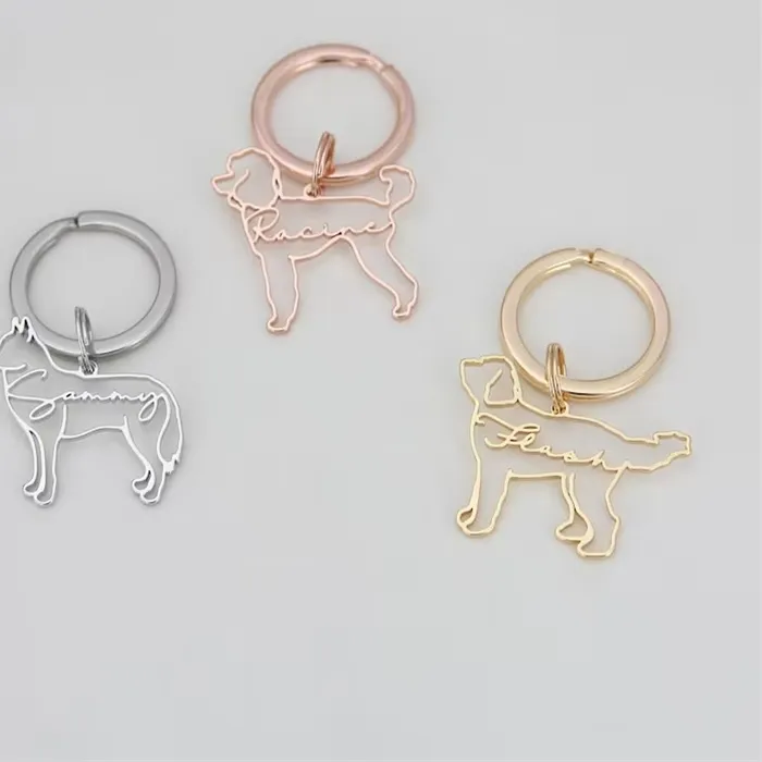 Authentic Celestial Guardian Totem - Personalized Soul-Bond Pet Amulet