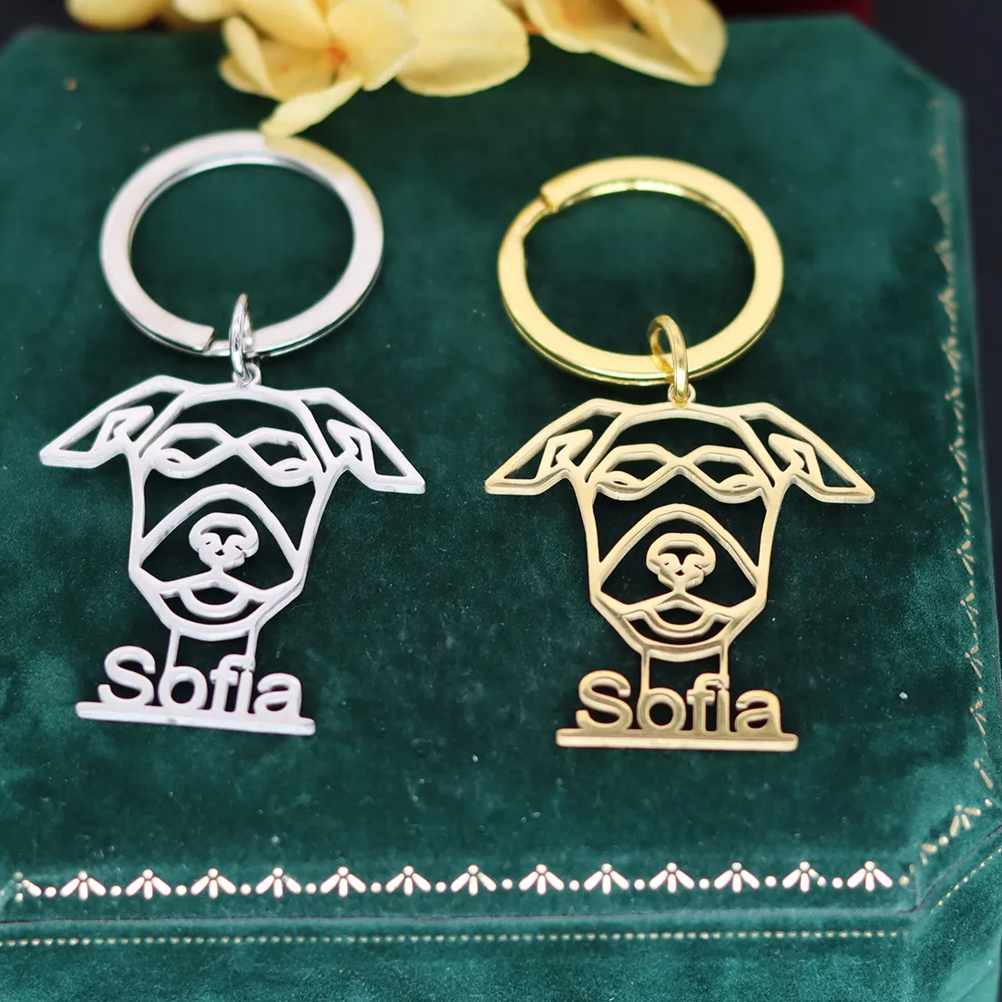 Authentic QIAMNI Custom Pet Name Keyring Stainless Steel Laser Engraved Dog Nameplate Pendant Keychain Animal Lover Gift Souvenir Jewelry