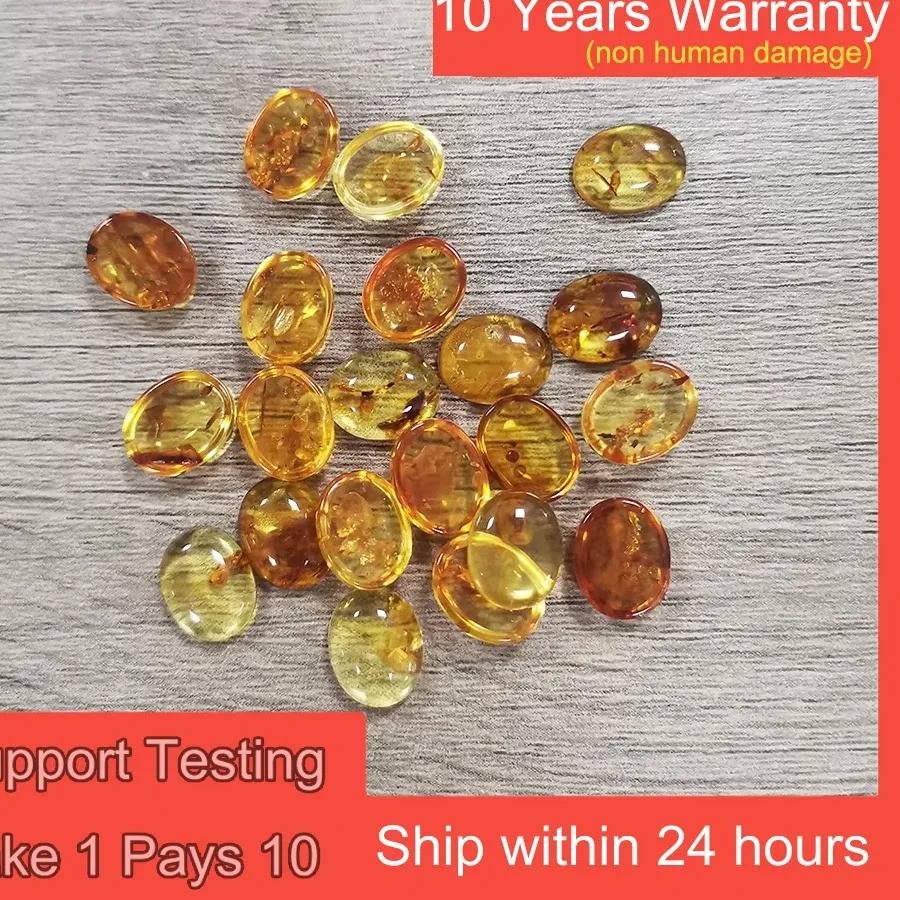 Authentic Factory Natural Amber Botanical Wonders Oval 12X10/9X7MM Eco -Friendly Gems For Ring Earring Necklace Pendant Jewelry Making