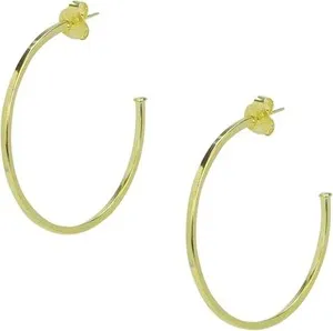 Authentic The Golden Halo of Sheila Fajl: Polished Hoop Talisman