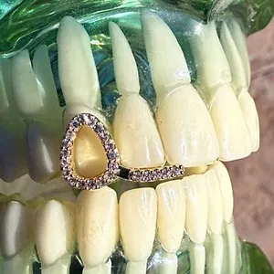 Authentic Radiant Canine Guard: 14k Gold-Plated and CZ Inlaid Open Cap Talisman