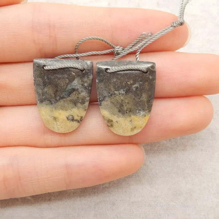Authentic Duality of the Hive: Sacred Bumble Bee Jasper Shield Talismans