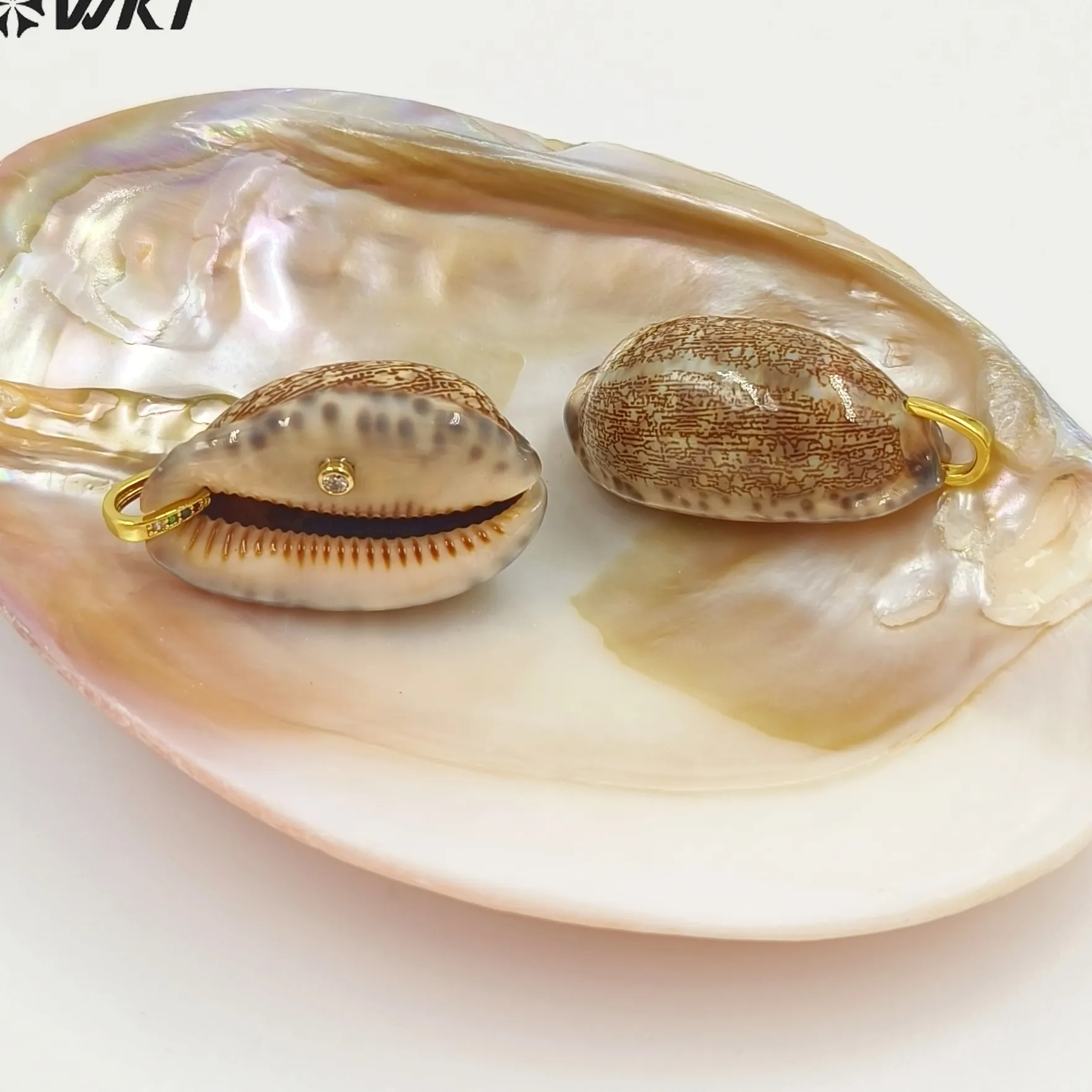 Authentic Mystic Cowrie Shell & Zircon Talisman Of Abundance