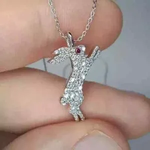 Authentic The Lunar Hare Amulet of Radiance and Intuition