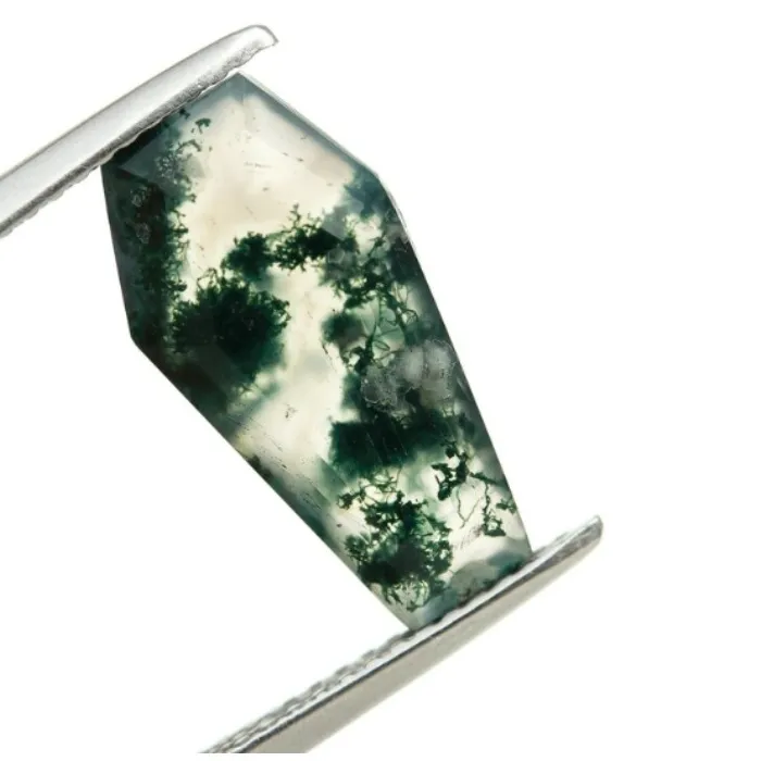 Authentic Verdant Soul Coffin Cut Moss Agate Faceted Calibrated Gemstone Of Forest Wisdom