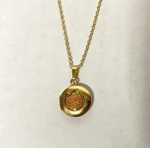 Authentic GOLD PLATED ROUND PICTURE LOCKET PENDANT & 16" CHAIN NECKLACE- Orange fruit