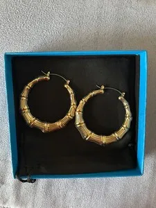 Authentic Celestial Radiance Golden Hoop Talismans