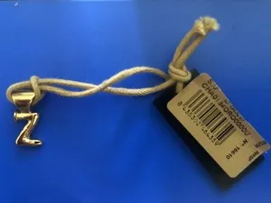 Authentic Zodiac Zephyr: 18K Gold‑Plated ½" Pendant of Endless Voyage